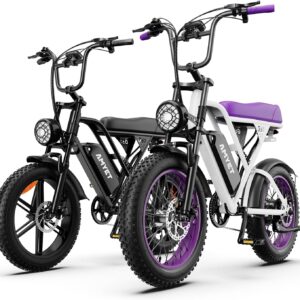 AMYET V9-G60 Adult Electric Bike 48V 960Wh Battery 20" Fat Tire E-Bike
